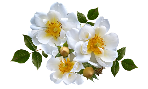 Image for 'Auspicious Marriage Date Calculation' numerology article